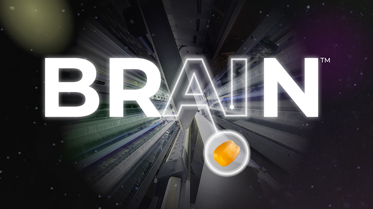 Optical Sorting AI
