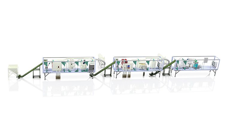 Cimbria compact coffee plant