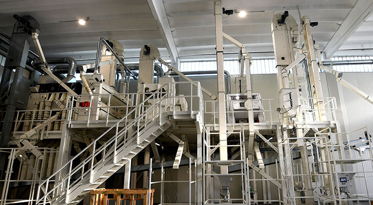 Montanaro 1938 plant, Italy