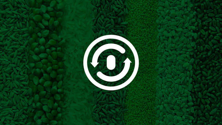 Seed Processing