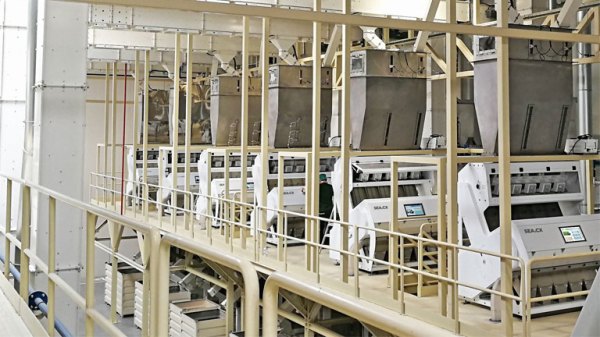 Processing line with color sorters