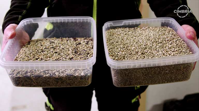 varaslattens-lagerhus-rye-sorting