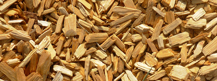 WOOD CHIPS