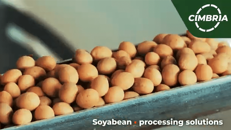 chickpea-video