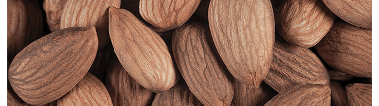 nuts