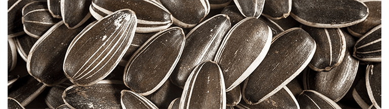seeds